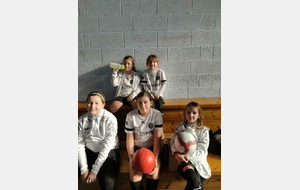 Les U11 F en futsal à Crédin